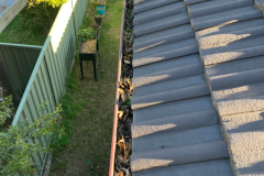 Newcastle-Gutter-Vacuuming-Your-Premier-Gutter-Cleaning-Solution-Gutter-2-befor