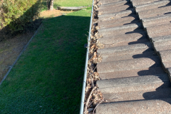 Newcastle-Gutter-Vacuuming-Your-Premier-Gutter-Cleaning-Solution-Gutter-4-befor