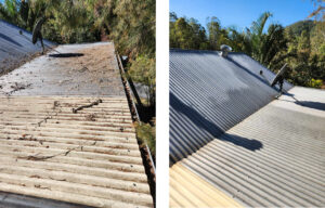 Newcastle Gutter Vacuuming - Your Roof Cleaning Solution